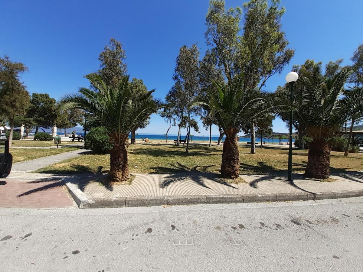 Villa Malena Alykes Beach Volos Eksteriør billede