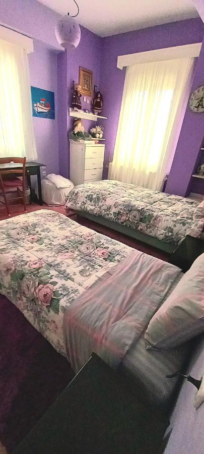 Villa Malena Alykes Beach Volos Eksteriør billede