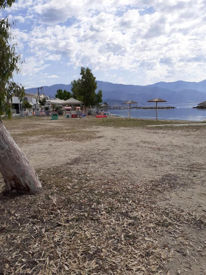 Villa Malena Alykes Beach Volos Eksteriør billede